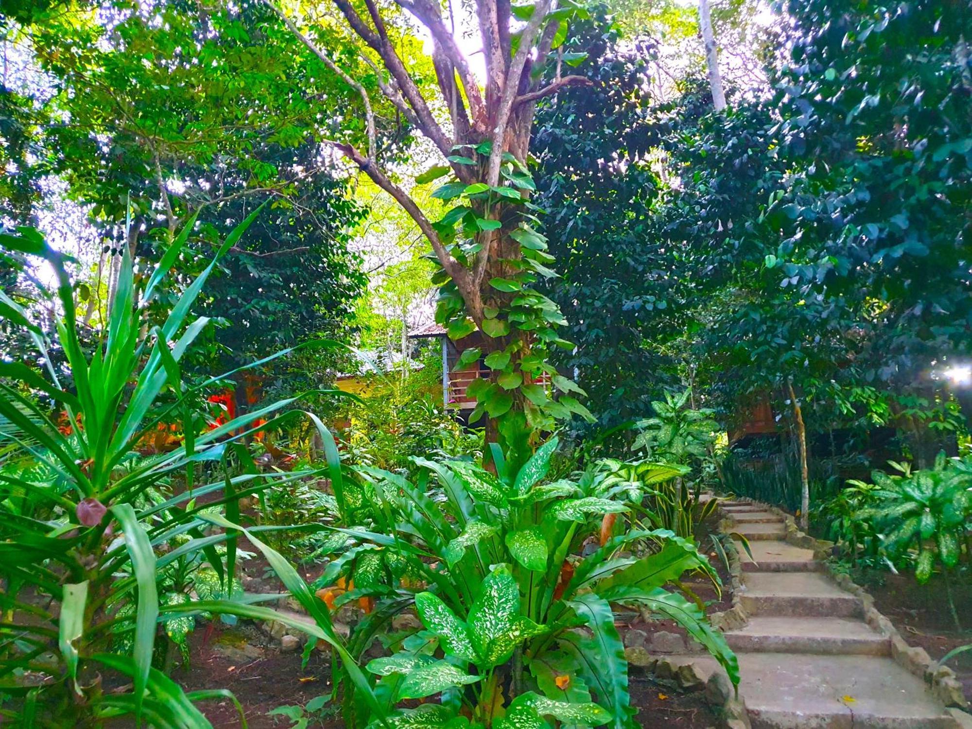 Santi Garden Bungalows Iboih Kültér fotó